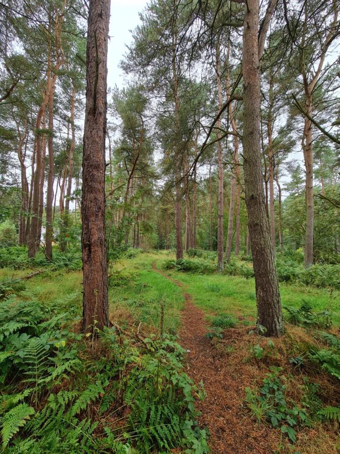 ホテルAnnsmuir Park - The Pines Ladybank エクステリア 写真