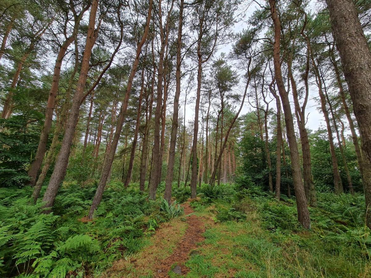 ホテルAnnsmuir Park - The Pines Ladybank エクステリア 写真