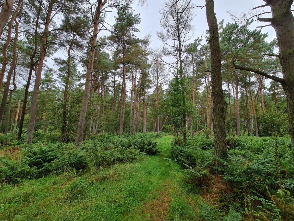 ホテルAnnsmuir Park - The Pines Ladybank エクステリア 写真